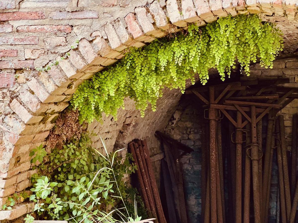 Le Fonti Di San Gimignano Lägenhet Exteriör bild
